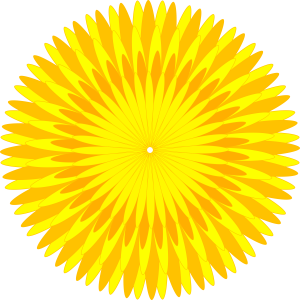 Dandelion PNG-12869